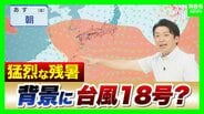【猛烈残暑】台風18号で高気圧が「パワーアップ」か…身体に堪える暑さはいつまで続く？週末に気温の「ひと山」ありそう【MBS前田気象予報士解説】　|　MBSニュース | 関西の最新ニュースを分かりやすく。
