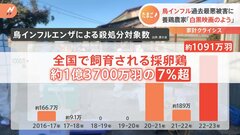 “物価の優等生”たまごは過去最高値…鳥インフルで“過去最悪”殺処分数　養鶏農家に廃業増の危機| TBS CROSS DIG with Bloomberg