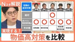 物価高対策は実現する?「地方交付金」「年収の壁」「5年で100万円増」…自民党総裁選 5人の政策を比較【Nスタ解説】|TBS NEWS DIG