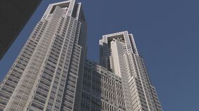 「リンゴ病」が流行　東京都で6年ぶりに警報レベル超える|TBS NEWS DIG