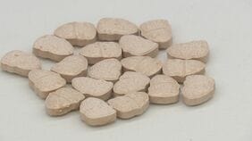 去年1年間の不正薬物の押収量2.7トン超で「過去最悪」 航空機旅客からの押収量が前年比約2.5倍で急増　東京税関|TBS NEWS DIG