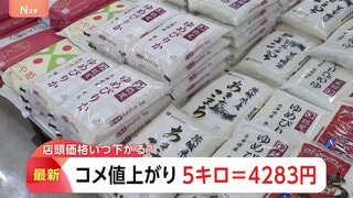 コメ平均価格4283円　前週より16円値上がり　高止まり続く| TBS CROSS DIG with Bloomberg