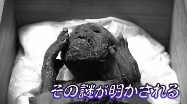 寺に眠る “人魚のミイラ” 解明プロジェクト ついに最先端技術が謎を