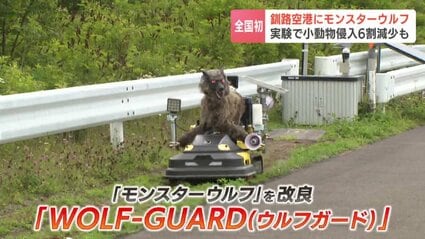 mihorun様 オオカミと散歩道のフローラ 航空機の安全運航を守る“オオカミ”釧路空港にモンスターウルフ導入