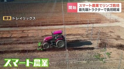 スマート農業】最新技術で“北海道最大級”のリンゴ産地に 木を一列に