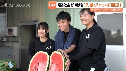 栽培50年西瓜農家直送鮮度抜群☆著名人様御用達西瓜の匠厳選某ブランド西瓜3L1玉 宙づり”スイカを収穫 富山・入善町の高校生「本当にうまくいった