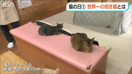 にゃんにゃんにゃん」の猫の日に『世界一？の招き猫』や『お嬢様猫』に