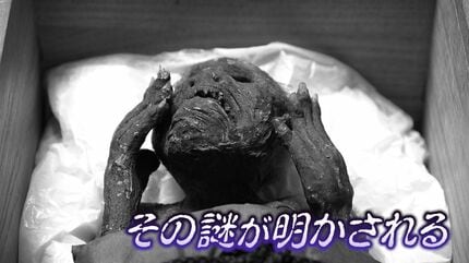 密着1年！徹底解説】寺に眠る “人魚のミイラ” 解明プロジェクト ついに