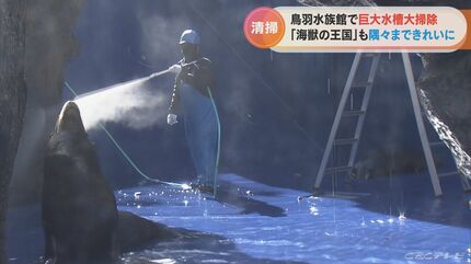 水族館で年末の大掃除 アザラシなど海獣が暮らす大水槽 水を吹きつけて 