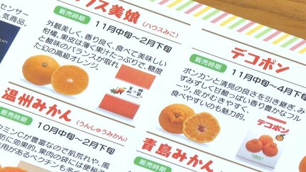 JAおおいたが小学生に地元特産の「みかん下敷き」を贈呈 16品種の
