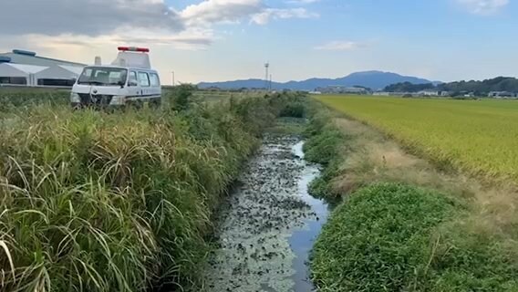 【速報】体長およそ１メートルの『大型トカゲ』が目撃される　近隣住民の人は十分に気をつけてください　|　熊本のニュース｜RKK NEWS｜RKK熊本放送