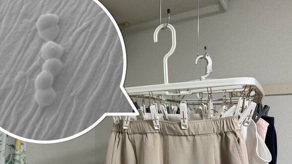 生乾き臭は “菌の代謝物” だった… 今年の梅雨こそ しぶといニオイと離れたい『部屋干しの正解』 | 熊本のニュース|RKK NEWS|RKK熊本放送