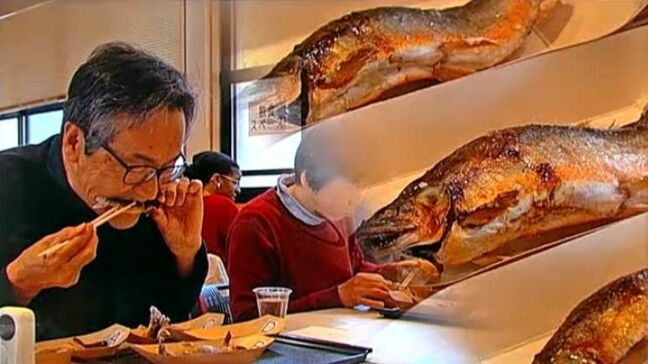 河川によって違う香りと味　高知県四万十市で“利き鮎会”|TBS NEWS DIG