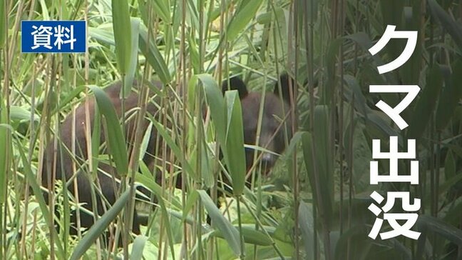 盛岡市から滝沢市にかけて成獣のクマ1頭の目撃相次ぐ いずれも体長約1メートルで同一個体か 警察が警戒 岩手|TBS NEWS DIG