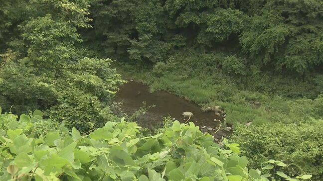 「気づく間もなく…」猛禽類の生息調査中　クマに襲われ２人けが　福島・下郷町|TBS NEWS DIG