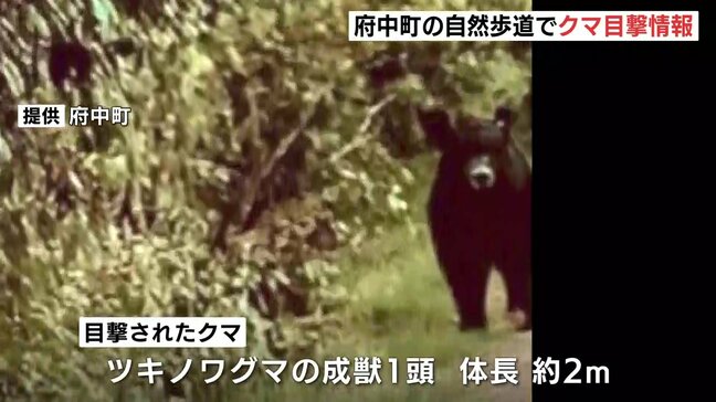 「鹿はいるが、熊出没情報は初めて」自然歩道でクマの目撃情報　自然歩道を封鎖し注意呼びかけ　広島県府中町|TBS NEWS DIG