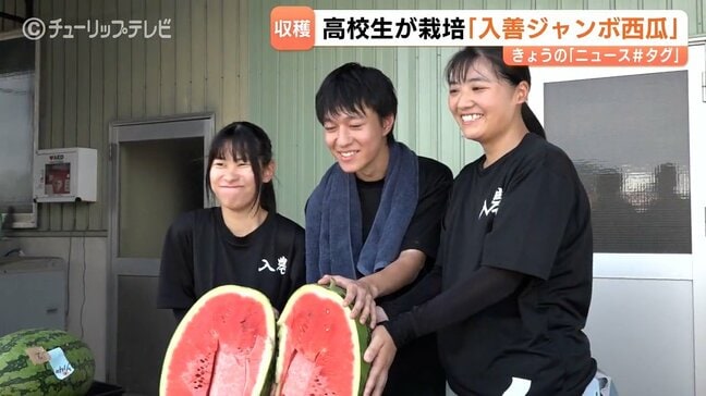 ”宙づり”スイカを収穫 富山・入善町の高校生「本当にうまくいった」「成功、成功」 効率的な栽培を研究 |TBS NEWS DIG