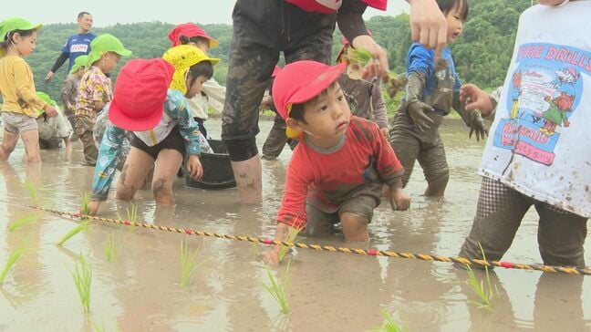 園児が田植え体験 初めての体験に「ぬるぬるしてこわい」 大分|TBS NEWS DIG