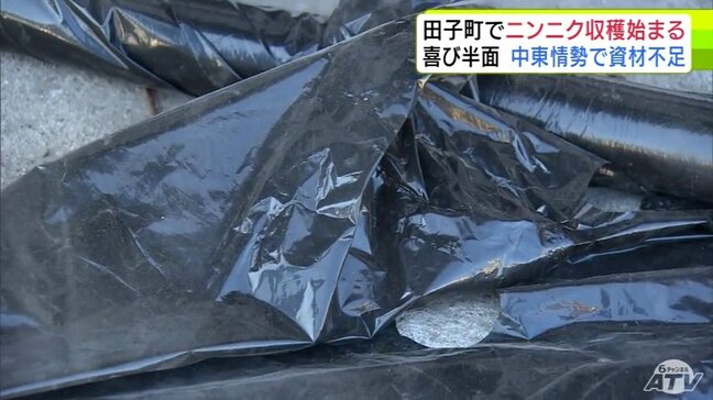 【詳報】「いつもは店に行けばある状態だった…」ナフサ不足で農業用資材が手に入らず… うれしい収穫期を迎えるも中東情勢の影響で苦悩するニンニク農家「資材関係からなんでも高騰している」 青森県田子町|TBS NEWS DIG