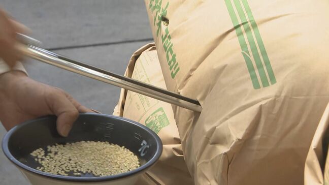 新米のコシヒカリ　安曇野市で検査始まる　9月下旬から県内のスーパーに並び始める見通し　長野|TBS NEWS DIG