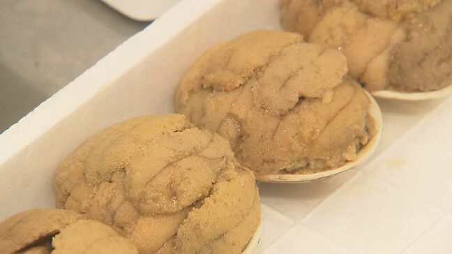 たっぷり5個分の身がぎっしり!ウニ漁解禁、名物の貝焼き作り始まる 福島・いわき市|TBS NEWS DIG