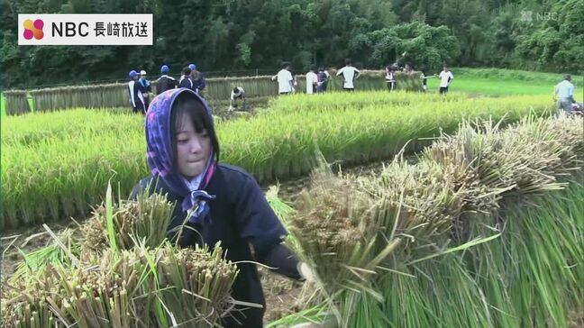 「食べ物のありがたさ知ってもらえれば」高校生が育てた稲　手刈りで収穫【長崎】|TBS NEWS DIG