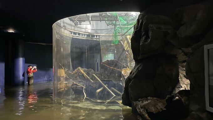 『ビワコオオナマズ』の大型水槽が「大きく割れ破損」通路にまで水があふれ出す　ナマズの状態は確認できず　展示室は閉鎖の方針　琵琶湖博物館|TBS NEWS DIG