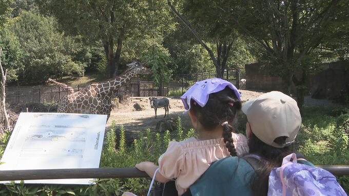 地震で遊び場減った能登の子どもに夏休みの思い出を！いしかわ動物園に無料招待の親子バスツアー「思い出作りの最高のチャンス」|TBS NEWS DIG