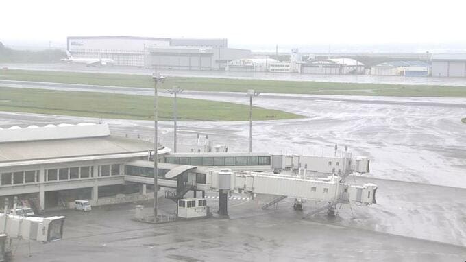 台風18号で3人がけが　本島北部では影響残り2200戸が停電　航空便は268便が欠航|TBS NEWS DIG