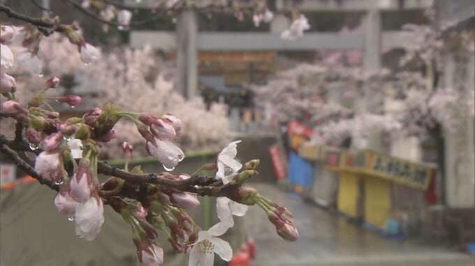 「手袋までしちゃった」花見客も防寒対策…花冷えの一日に　福島|TBS NEWS DIG