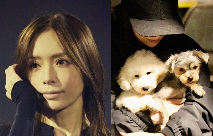 【 浜崎あゆみ 】　愛犬とのショットに　ファン反響　「可愛い♥癒される」「見てるだけで幸せですっっ♥」|TBS NEWS DIG
