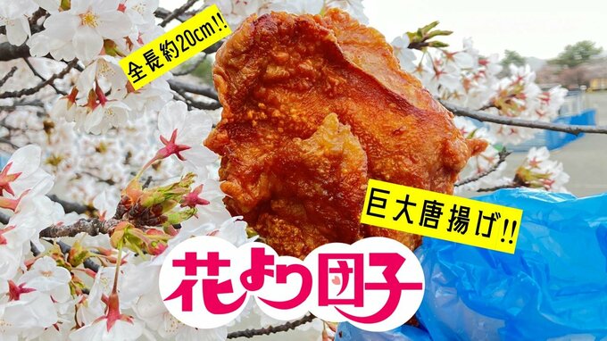 「青森市ではこれを食べる！」全長約20㎝の巨大唐揚げ！　花見の屋台グルメ　|　青森のニュース│ATV NEWS│青森テレビ