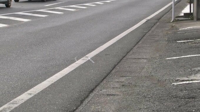 【速報】熊本県宇土市の死亡ひき逃げ事件 30代の会社員の男を逮捕　はねられた男性は歩いて帰宅後に死亡　家から国道まで血痕が続く|TBS NEWS DIG