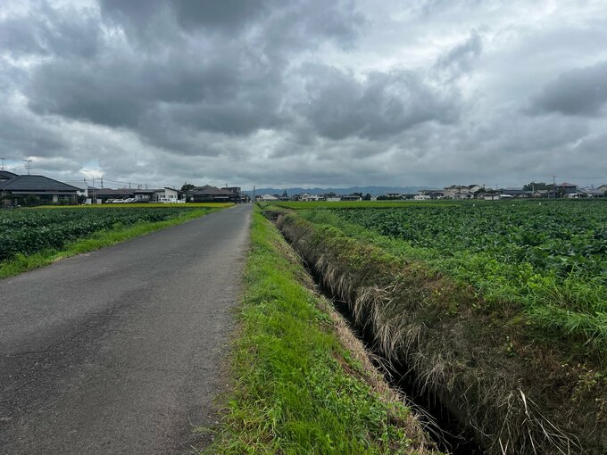 「男子高校生が自転車ごと用水路に落ちている」都城市で16歳高校生が死亡|TBS NEWS DIG