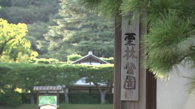 栗林公園で目撃情報　イノシシとみられる　体長1メートルほど　北門から侵入か【香川】|TBS NEWS DIG