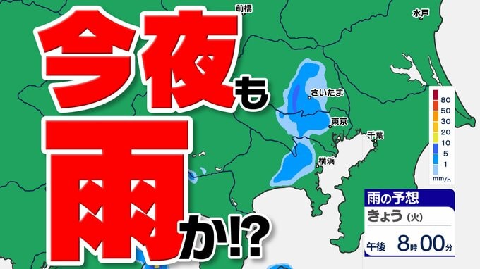 【東京 ２日続けて雨かも】埼玉・神奈川・千葉・東京に雷注意報発表  突然の雨に注意【３０分ごとの雨のシミュレーション】|TBS NEWS DIG