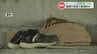 ホームレス？橋の下に白骨化した遺体　ホームレス支援の現状は今どうなっている？　|　熊本のニュース｜RKK NEWS｜RKK熊本放送