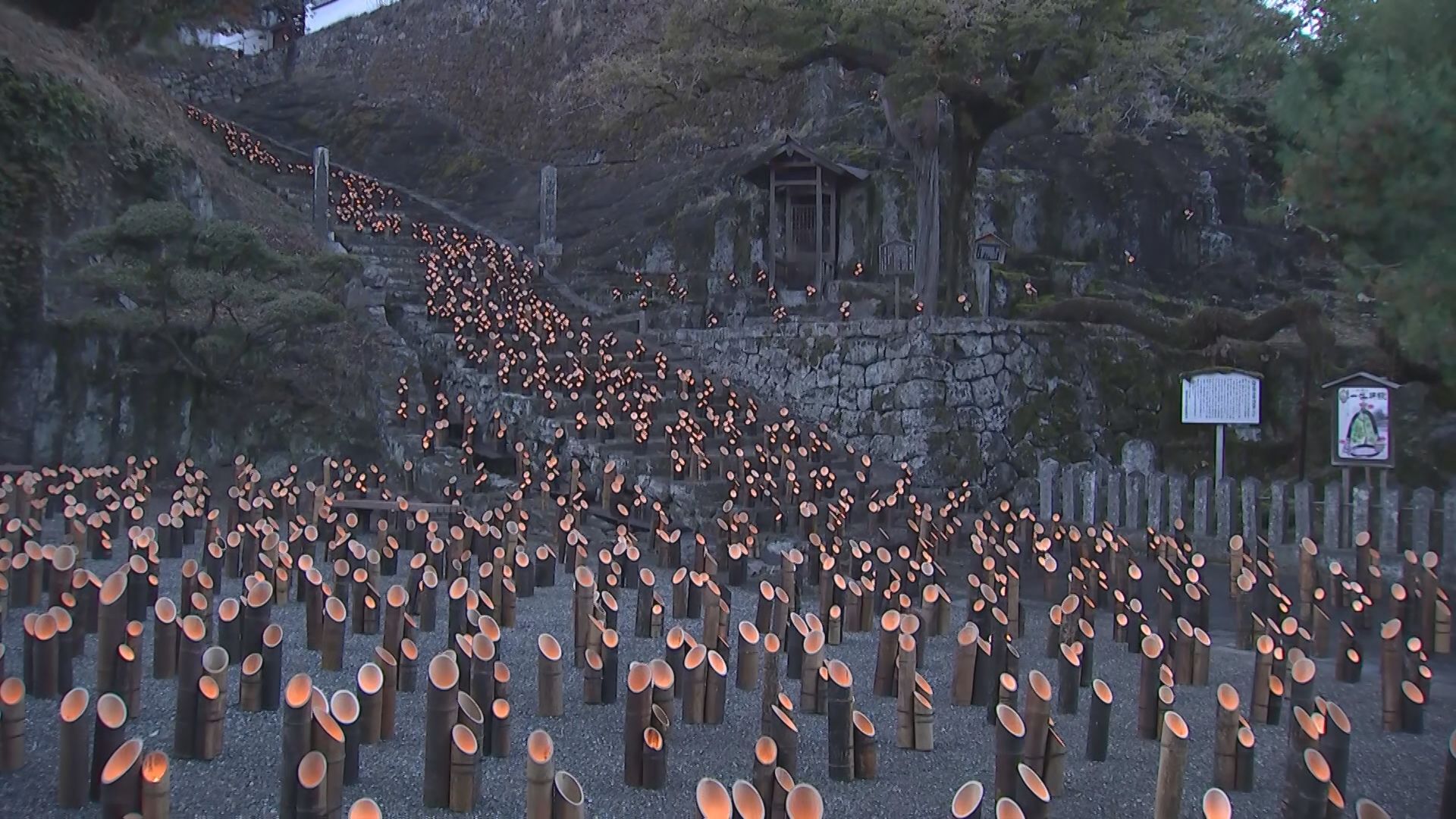 城下町に2万本の竹灯籠 「竹楽」始まる 19日まで10万人超の人出見込み