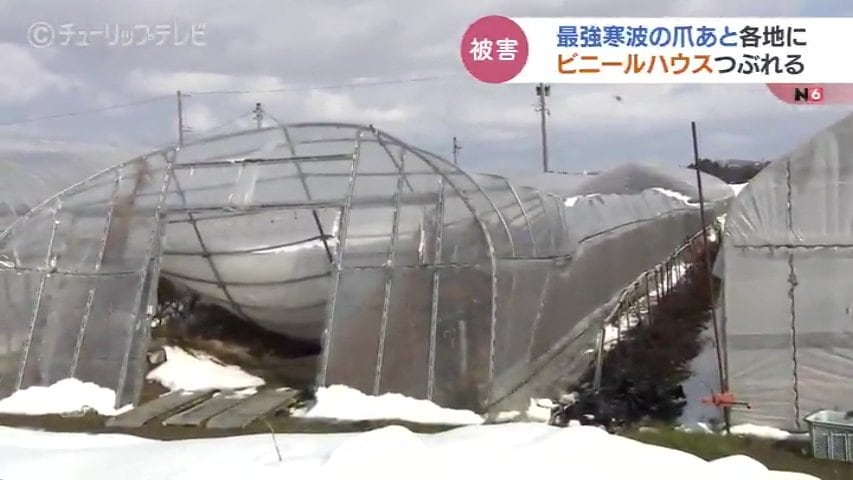 降雪地でもつかえるビニールハウス 雪の重みでビニールハウスが… 最強寒波の爪あと各地て 県内の農業関係
