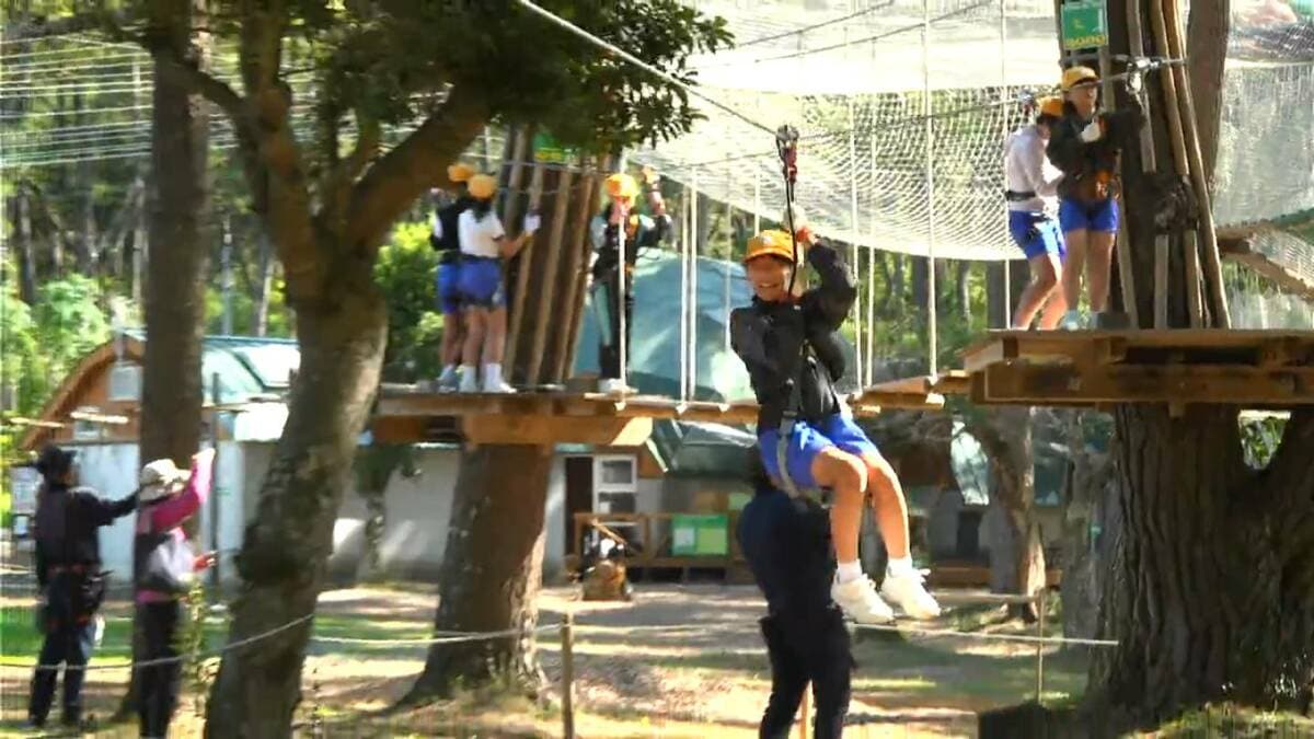 森林の大切さを体験して学ぶ　森林環境譲与税を活用した新しい森林環境教育日置市ではじまる　鹿児島