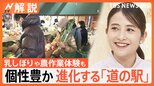 もはや旅の目的地! 進化する「道の駅」、1200か所以上訪問した“達人”のおすすめは?【Nスタ解説】|TBS NEWS DIG