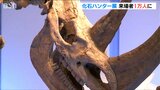巨大なサイの復元標本や貴重な化石標本などが一堂に『化石ハンター展』来場者が1万人突破 新潟県立万代島美術館|TBS NEWS DIG