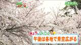 「けさは花曇りも、午後は各地で晴れ」宮城の30秒天気 tbc気象台3日|TBS NEWS DIG