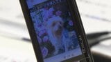 「おもいでケータイ再起動」眠っていたガラケーが復活!愛犬との再会に涙 10年以上前の家族の写真もよみがえる | 北海道のニュース|HBC北海道放送