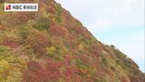 紅葉見ごろ!ロープウェイから絶景の仁田峠 | 長崎のニュース | 天気 | NBC長崎放送