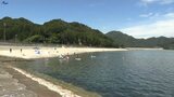 一関、江刺、住田で35度以上の猛暑日(午後3時まで) 暑さ続く岩手県内 釜石・根浜海岸に海水浴客|TBS NEWS DIG