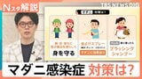 感染拡大の要因は“ペット”と“高温”?マダニが媒介「SFTS=重症熱性血小板減少症候群」とは【Nスタ解説】|TBS NEWS DIG