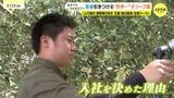 「全国最多の転出超過」広島でナゼ？世界一のオリーブ園に若者が続々　一方で本音も「補助金などプラス面を」「チェーン店が少ない」島の20代移住者が参院選候補者に求めること|TBS NEWS DIG