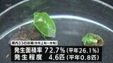 稲の品質低下をもたらすカメムシの発生程度が過去10年で最高に　宮崎県は「病害虫発生予察注意報」発表　防除徹底を呼びかけ|TBS NEWS DIG