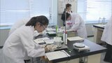 科学の力を競う「科学の甲子園」福岡県大会 久留米大学附設高校が県大会13連覇で全国大会への切符掴む | 福岡のニュース|RKB NEWS|RKB毎日放送